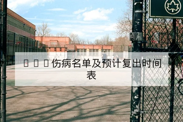 KPL赛区排名规则与季后赛名额速查